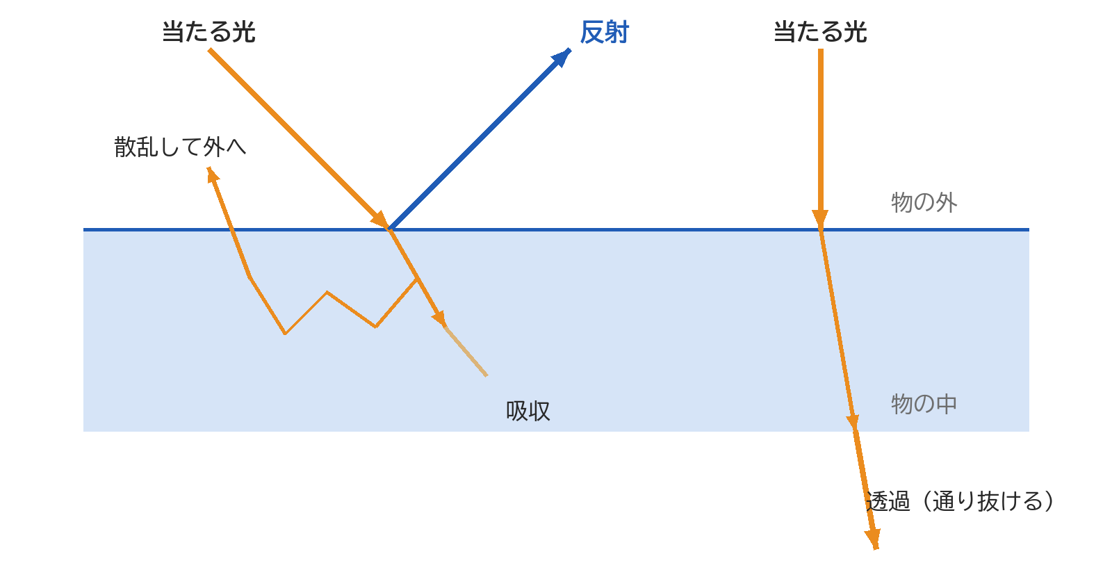 物に当たった光が、表面で反射する・中で吸収される・中で散乱して外へ出る・通り抜ける様子を表した図