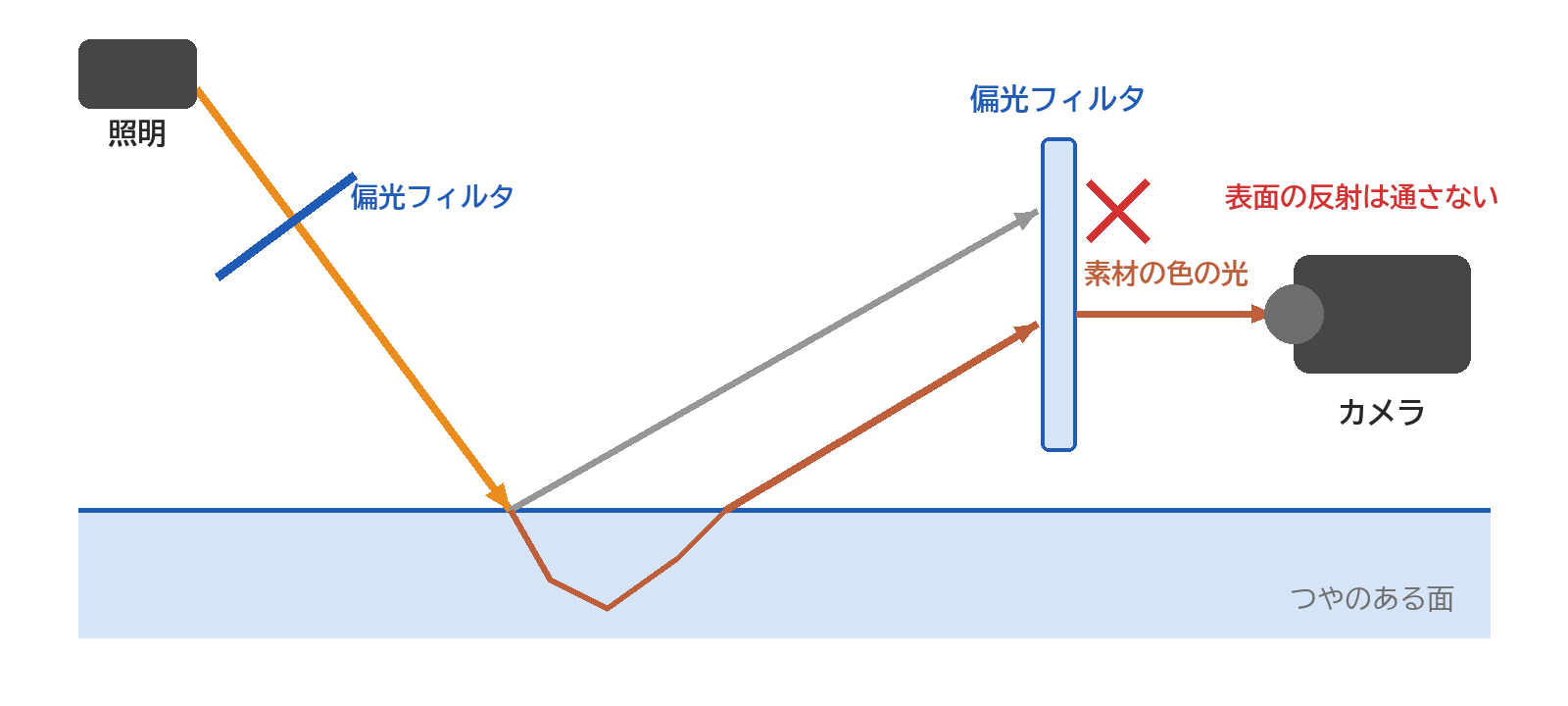 照明とカメラの両方に偏光フィルタを付け、表面の反射を除いて素材の色の光だけを写す様子を表した図
