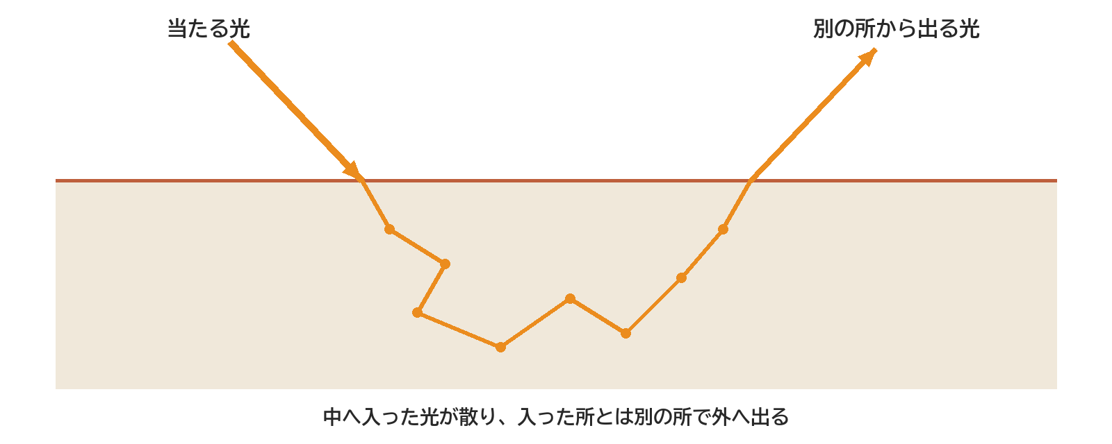 表面から物の中へ入った光が、中で何度も向きを変えて散り、入った所とは別の所で外へ出る道すじを表した図